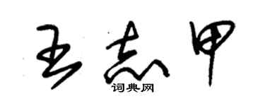 朱錫榮王志甲草書個性簽名怎么寫