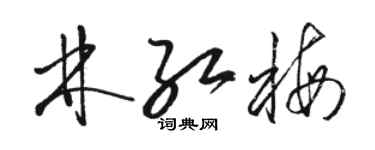 駱恆光林紅梅草書個性簽名怎么寫