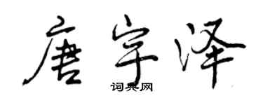 曾慶福唐宇澤行書個性簽名怎么寫