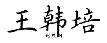 丁謙王韓培楷書個性簽名怎么寫