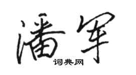 駱恆光潘軍行書個性簽名怎么寫