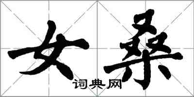 翁闓運女桑楷書怎么寫