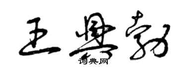 曾慶福王興勃草書個性簽名怎么寫