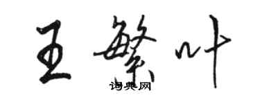 駱恆光王繁葉行書個性簽名怎么寫