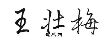 駱恆光王壯梅行書個性簽名怎么寫