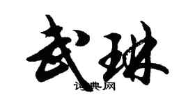 胡問遂武琳行書個性簽名怎么寫