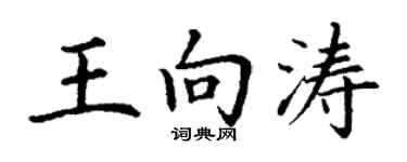 丁謙王向濤楷書個性簽名怎么寫