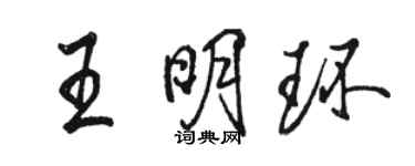 駱恆光王明環行書個性簽名怎么寫