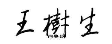 王正良王樹生行書個性簽名怎么寫