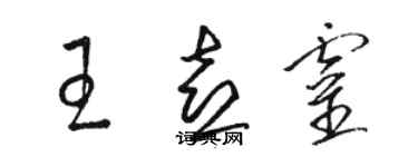 駱恆光王喜靈草書個性簽名怎么寫