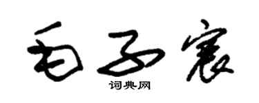 朱錫榮毛子宸草書個性簽名怎么寫