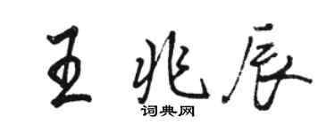 駱恆光王兆辰行書個性簽名怎么寫