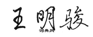 駱恆光王明駿行書個性簽名怎么寫