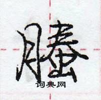 龐中華寫的硬筆行書螣