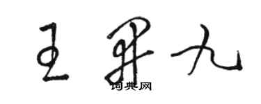 駱恆光王開九草書個性簽名怎么寫