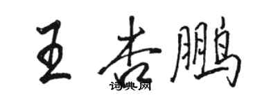 駱恆光王杏鵬行書個性簽名怎么寫