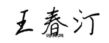 王正良王春汀行書個性簽名怎么寫