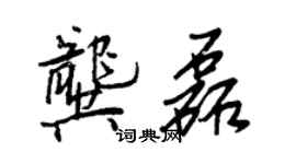 王正良龔磊行書個性簽名怎么寫