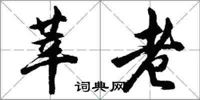 胡問遂莘老行書怎么寫