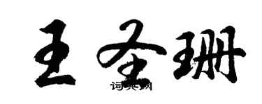 胡問遂王聖珊行書個性簽名怎么寫