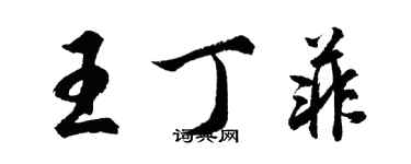 胡問遂王丁菲行書個性簽名怎么寫