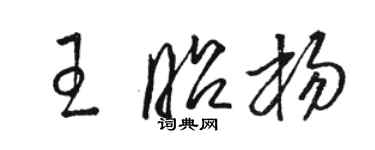 駱恆光王昭楊草書個性簽名怎么寫