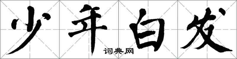 翁闓運少年白髮楷書怎么寫
