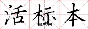 丁謙活標本楷書怎么寫