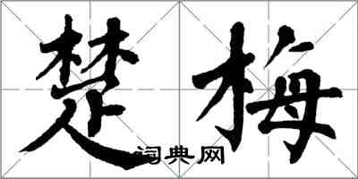 翁闓運楚梅楷書怎么寫