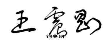 曾慶福王震剛草書個性簽名怎么寫