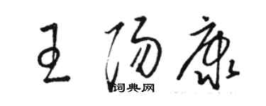 駱恆光王陽康草書個性簽名怎么寫