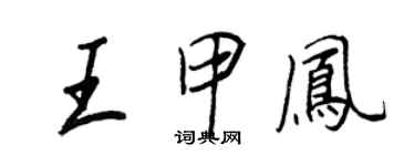 王正良王甲鳳行書個性簽名怎么寫