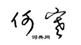梁錦英何寒草書個性簽名怎么寫