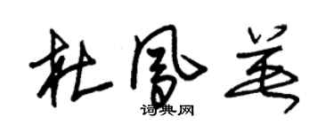 朱錫榮杜鳳英草書個性簽名怎么寫