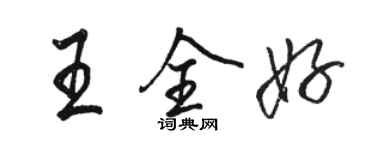 駱恆光王全好行書個性簽名怎么寫