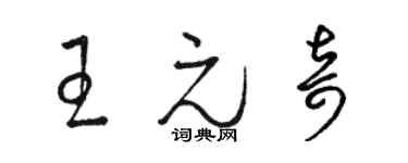 駱恆光王元奇草書個性簽名怎么寫