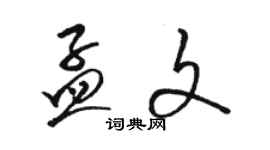 駱恆光孟文草書個性簽名怎么寫