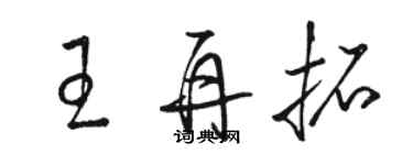 駱恆光王再拓草書個性簽名怎么寫