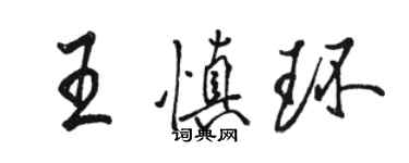 駱恆光王慎環行書個性簽名怎么寫