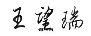 駱恆光王望瑞行書個性簽名怎么寫