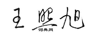 駱恆光王照旭草書個性簽名怎么寫