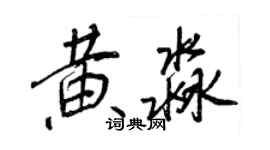 王正良黃淼行書個性簽名怎么寫