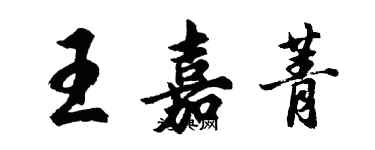 胡問遂王嘉菁行書個性簽名怎么寫