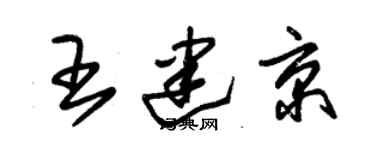 朱錫榮王建京草書個性簽名怎么寫