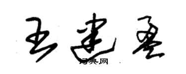 朱錫榮王建盈草書個性簽名怎么寫