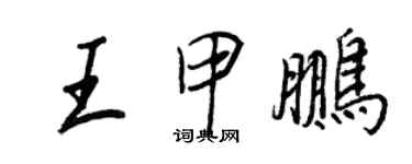 王正良王甲鵬行書個性簽名怎么寫