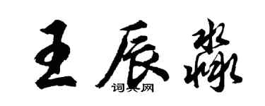 胡問遂王辰淼行書個性簽名怎么寫
