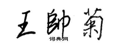 王正良王帥菊行書個性簽名怎么寫