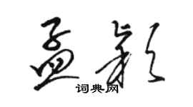 駱恆光孟穎草書個性簽名怎么寫