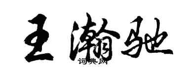 胡問遂王瀚馳行書個性簽名怎么寫
